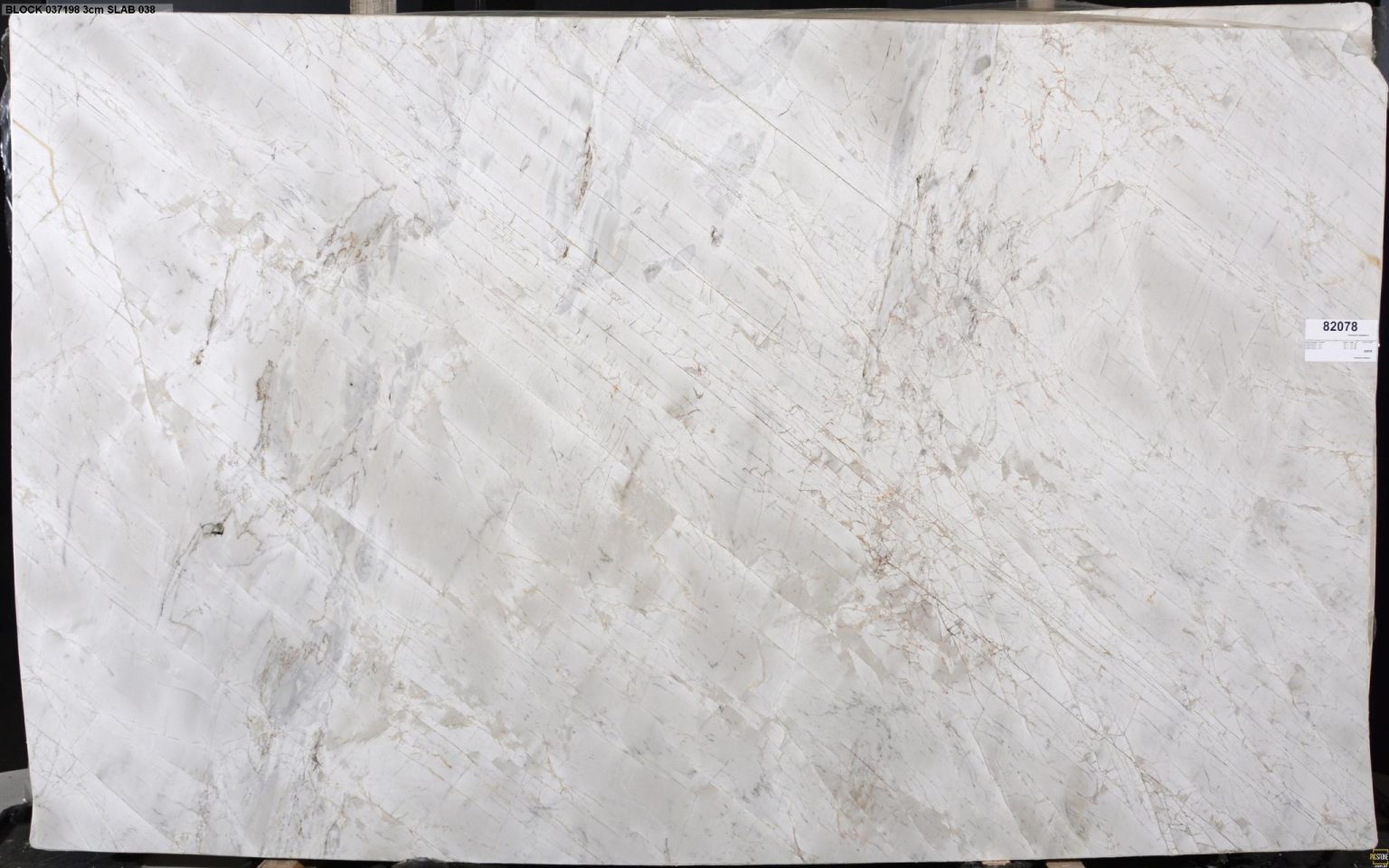 Calacatta - SCS Tile